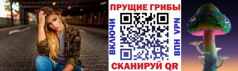 Псилоцибиновые грибы Cubensis  Купить где  Челябинск 